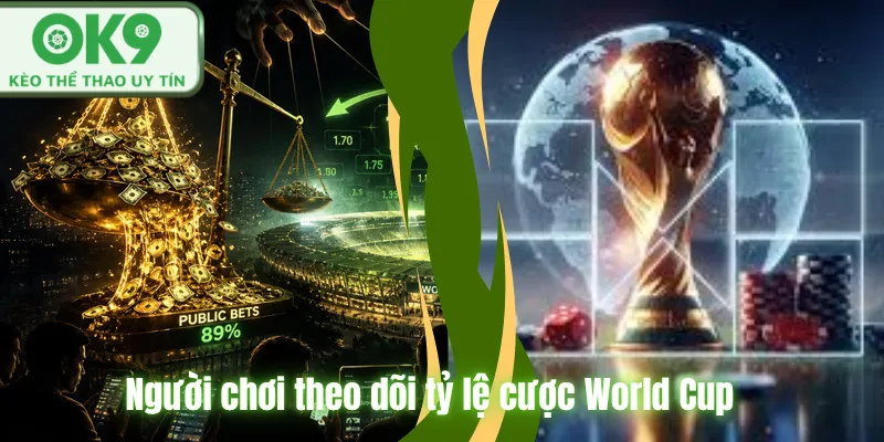 Người chơi theo dõi tỷ lệ cược World Cup tại OK9.