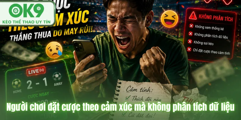 Người chơi đặt cược theo cảm xúc mà không phân tích dữ liệu
